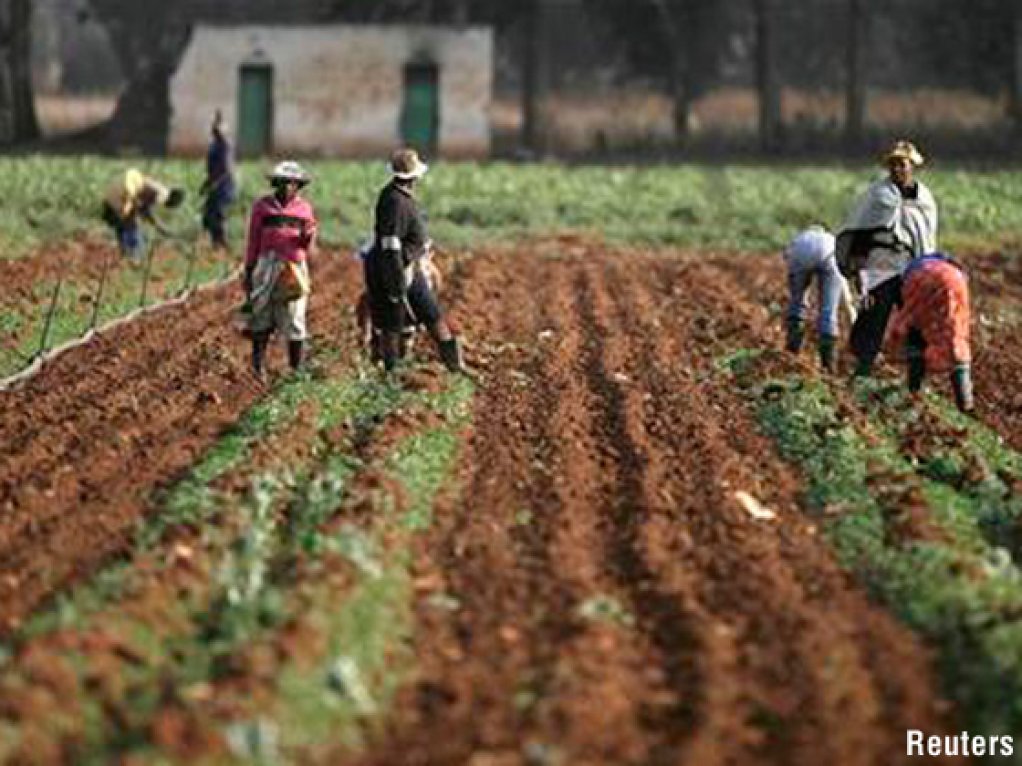 IFP: Statement by Nhlanhla Msimango, IFP Spokesperson on Agriculture, asserts that rural people must be empowered through agricultural initiatives (28/08/2014)