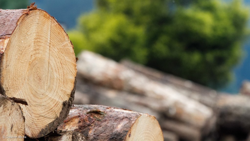 York Timbers earnings down 53%