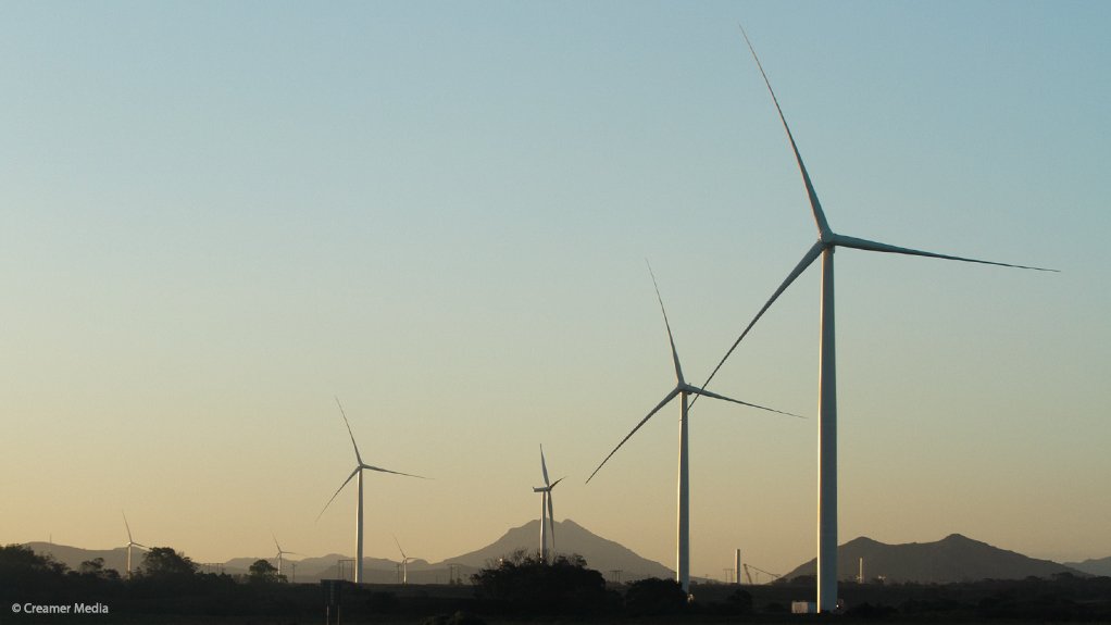 South African investors bulk financiers of renewable energy success