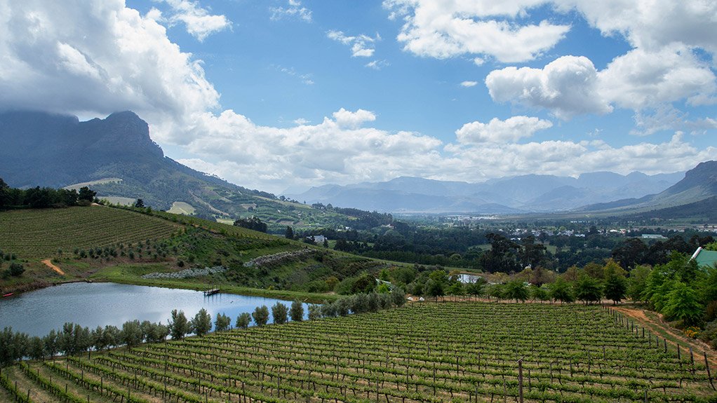 BIODIVERSITY AND WINE INITIATIVE
The BWI encourages wine producers to farm sustainably and express the advantages of the Western Cape’s abundant diversity in its wines