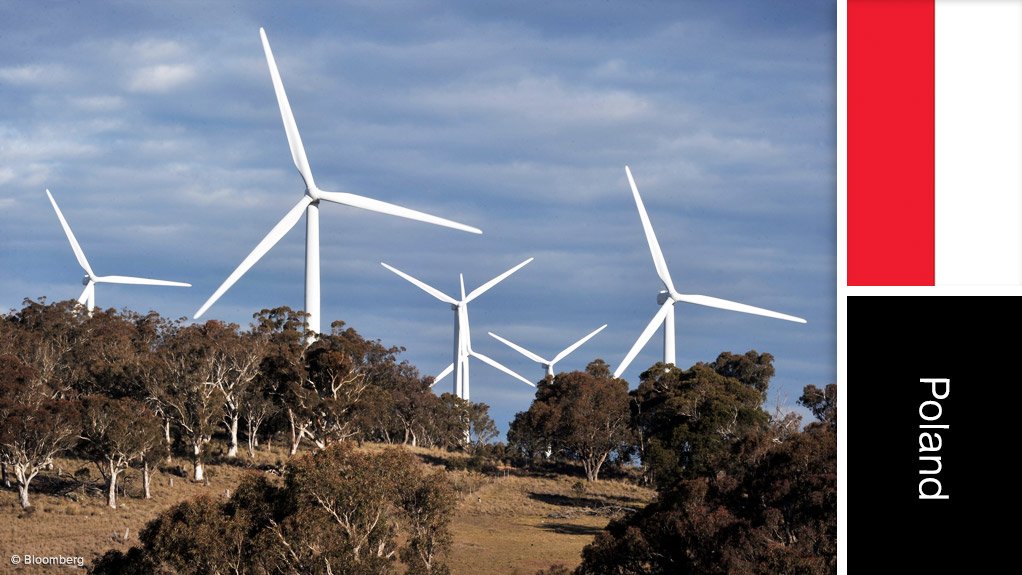Radzyn wind farm project, Poland