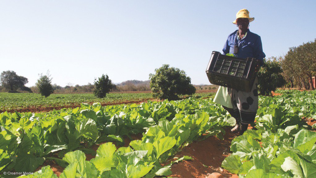 AGRICULTURE ANSWER TO GROWTH? Agriculture has been elevated for economic development and as a socioeconomic response to South Africa’s challenges – poverty, inequality and unemployment 