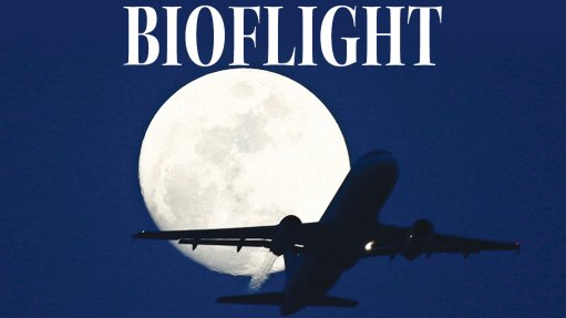 The worldwide push for aviation biofuels