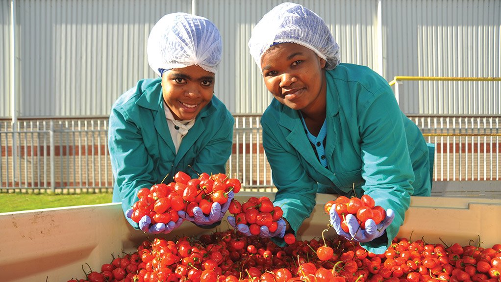 R86m DTI-funded agroprocessing facility announced for EC, to break ground in March