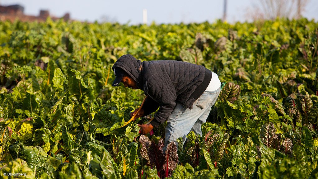 Labour Minister Oliphant increases farmworkers minimum wage by 7,7 percent in 2015/16