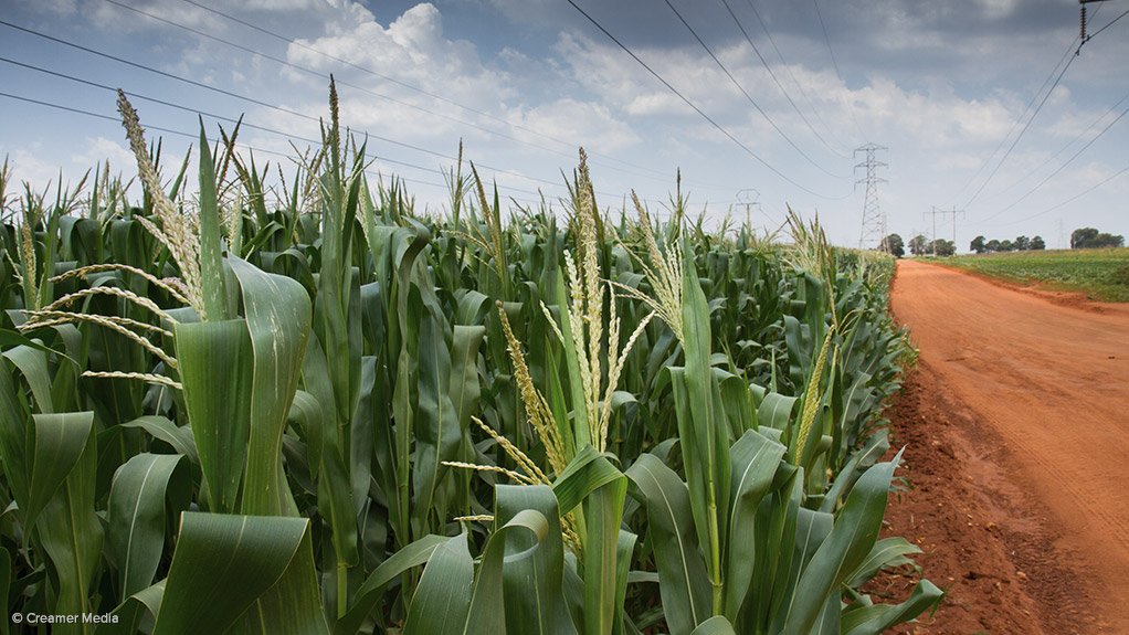 Record crop production and falling oil price improve food affordability, security – index 
