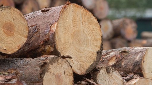 Automation improves wood treatment processes