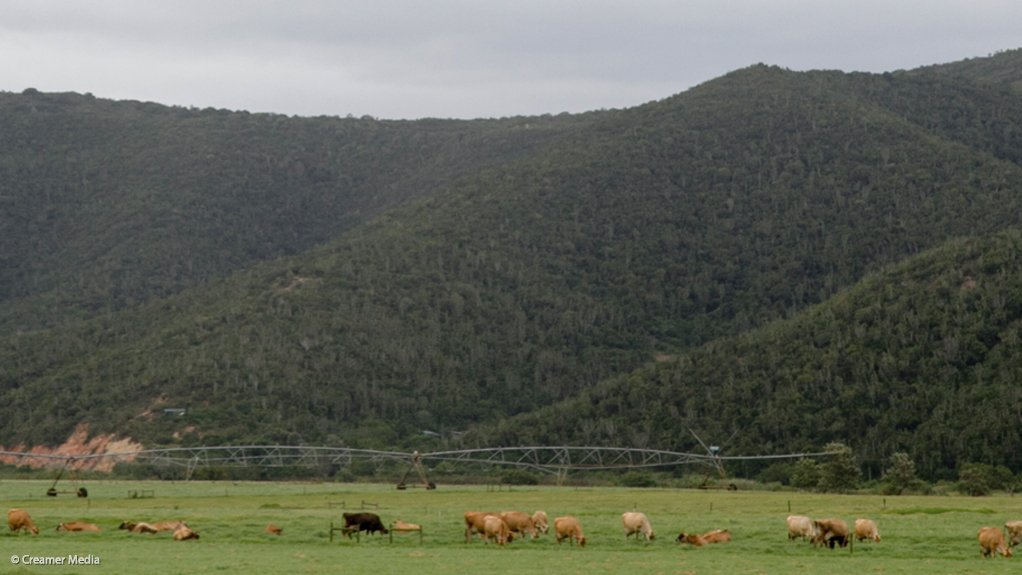 Agribusiness CEOs keen to pursue African expansions