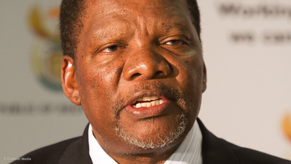 GUGILE NKWINTI Recently presented an action plan to speed up land reform and stimulate the rural economy