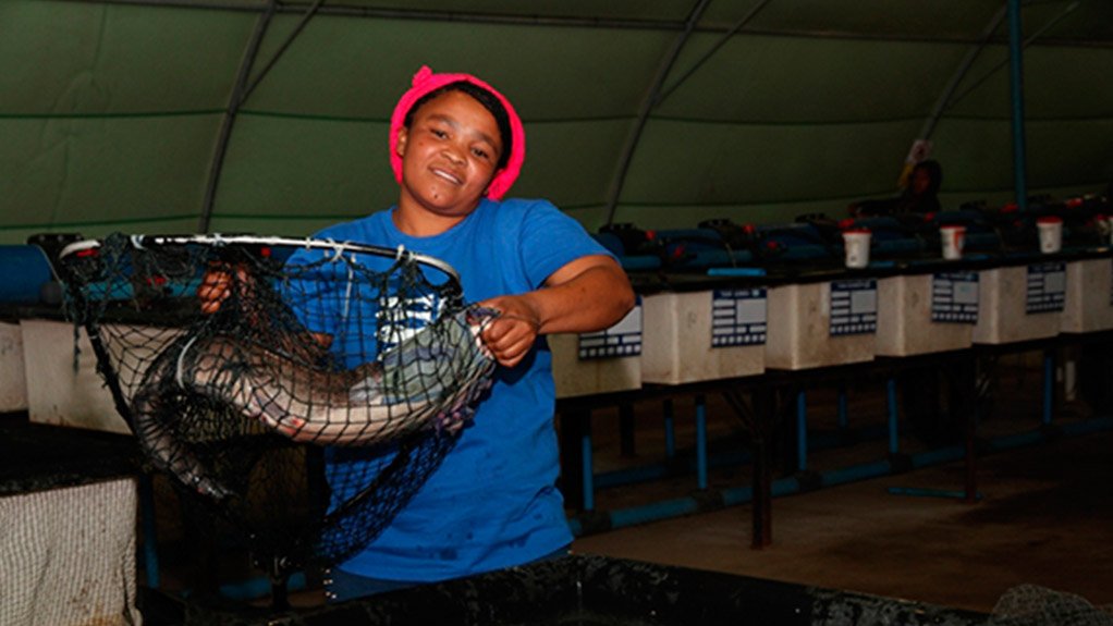 Graaff-Reinet aquaculture project moves ahead