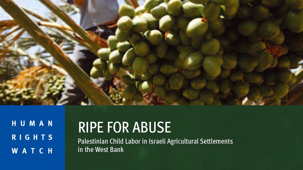 Ripe for abuse: Palestinian child labour in Israeli agricultural settlements in the West Bank (April 2015)