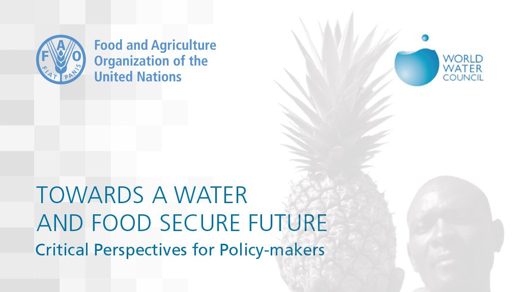 Towards a water and food secure future (April 2015)