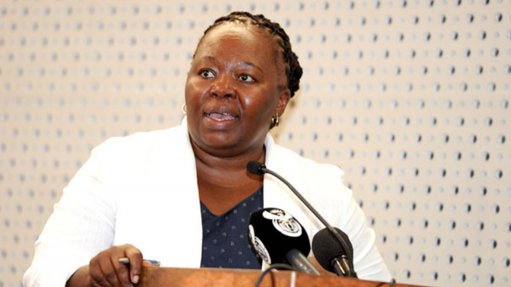 DoC: Phumla Williams on the Cabinet meeting of April 15, 2015