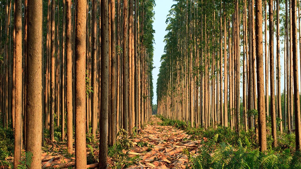 Business encouraged to take ‘bold’ climate action