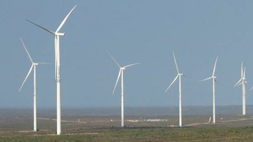 Molefe says 100 MW Eskom wind farm now fully operational