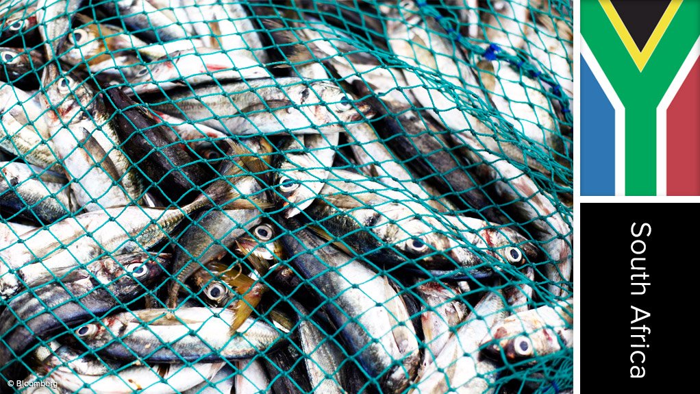 Graaff-Reinet-based freshwater fish farming and processing initiative, South Africa