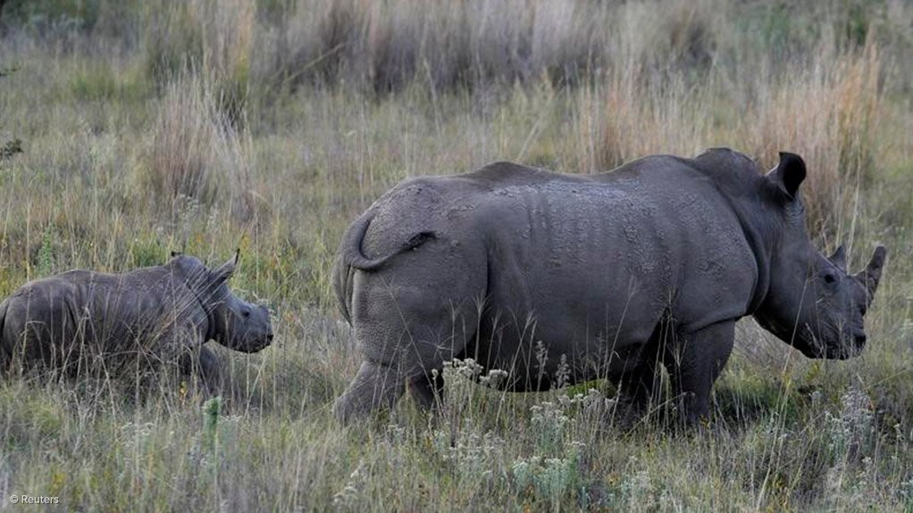 War against rhino poaching continues – Minister Molewa