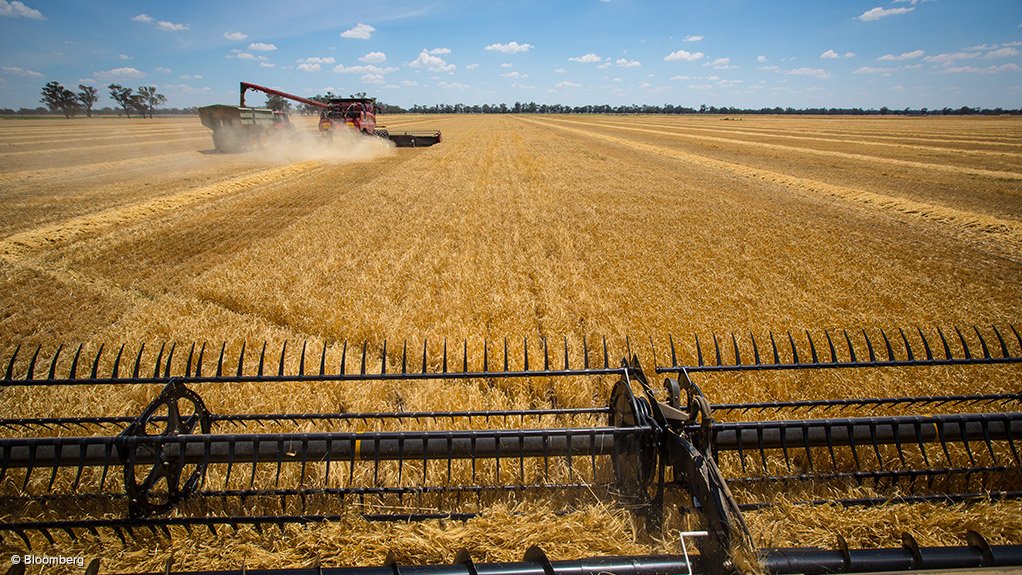 Rolfes buys out Agchem minorities for R37.9m
