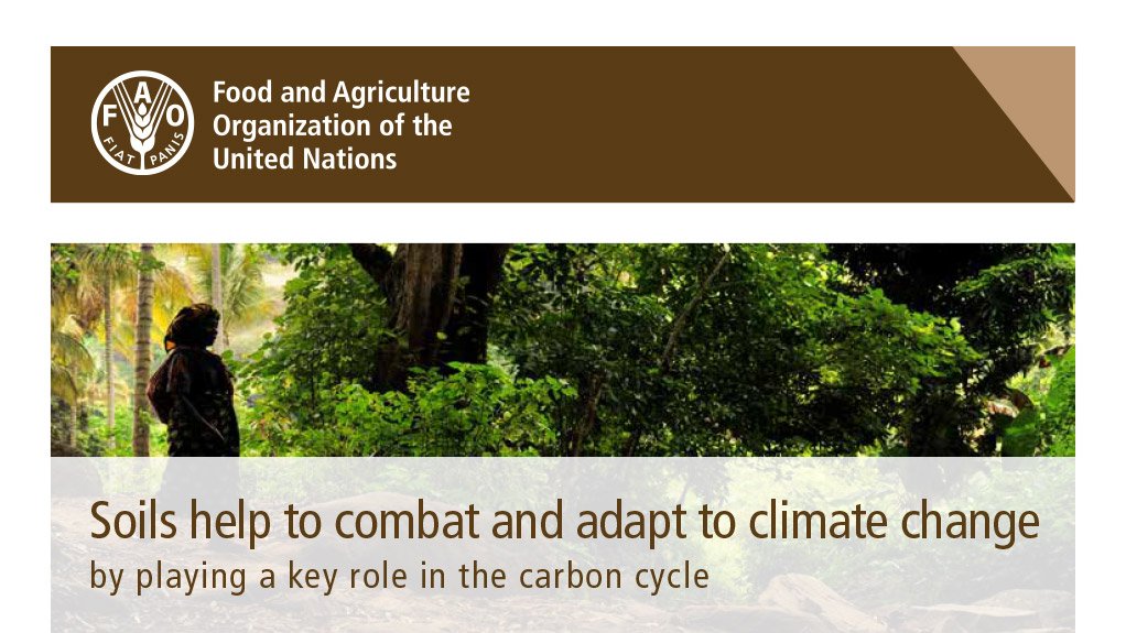 Soils help to combat and adapt to climate change by playing a key role in the carbon cycle (June 2015)