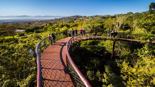 EXCELLENT INVESTMENT
The Kirstenbosch Centenary Tree Canopy Walkway in Cape Town is one of the more eye-catching entries at this year’s steel awards
