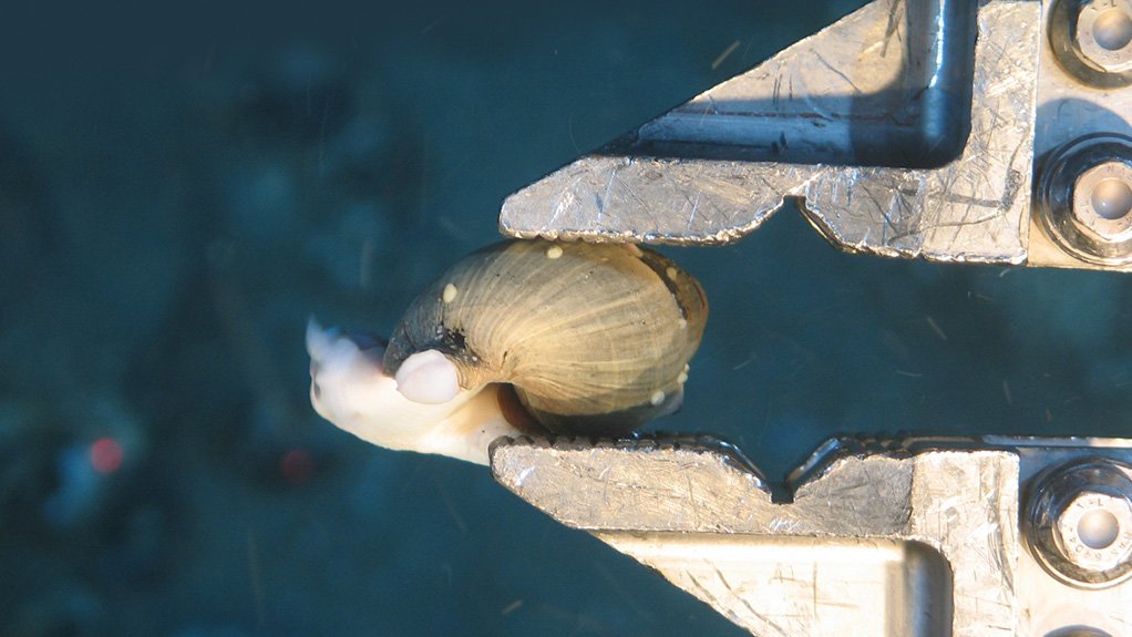 PROSPECTING LICENCES The first pioneer prospecting licences in deep seabed mining will expire in early 2016
