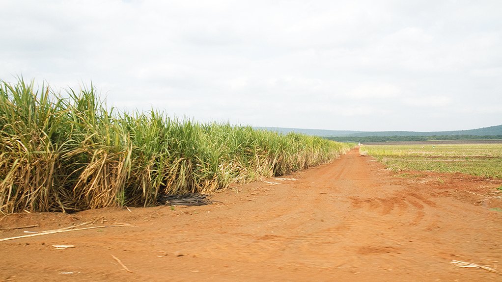 WEAKER SEASON South Africa, on average, produces 2.2-million tons of sugar in a season; however, production is expected to drop to 1.714-million tons of sugar when the 2015/16 season closes on March 31, 2016