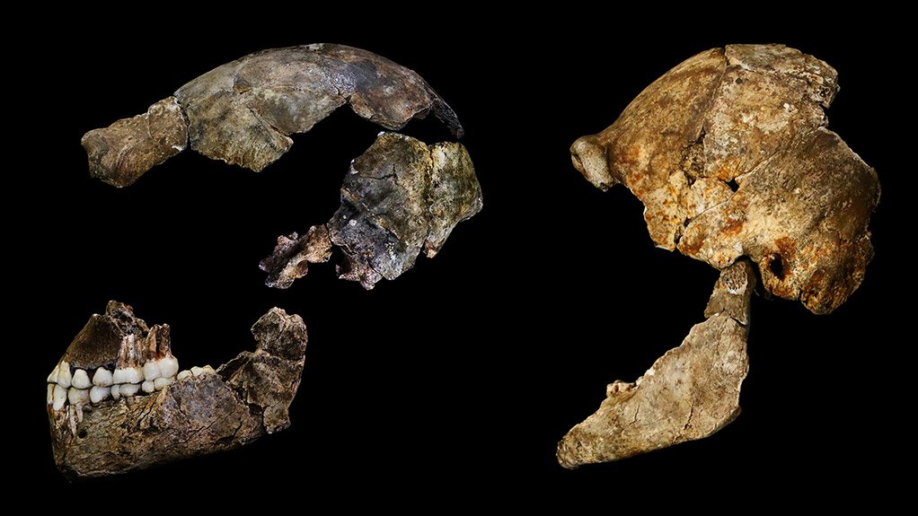 Homo Naledi – a link in our understanding of evolution