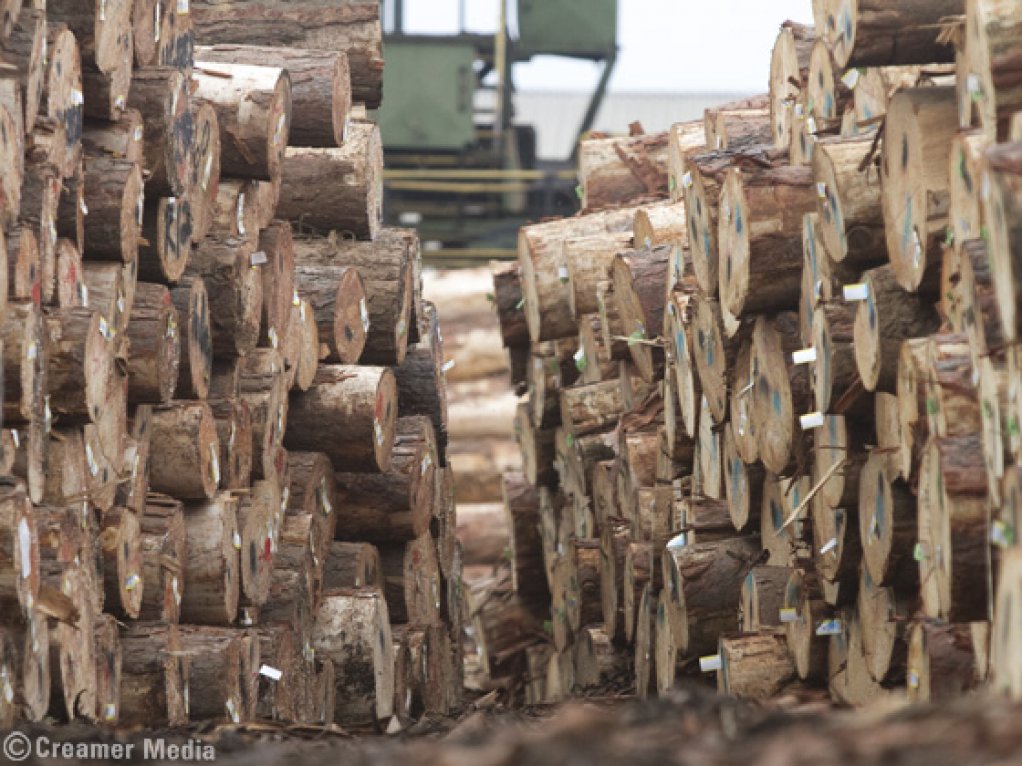 York Timbers’ proposed R1.4bn biomass plant to feed national grid