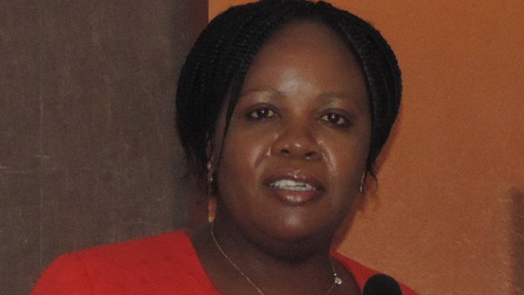 dti SA companies urged to invest in Zambia