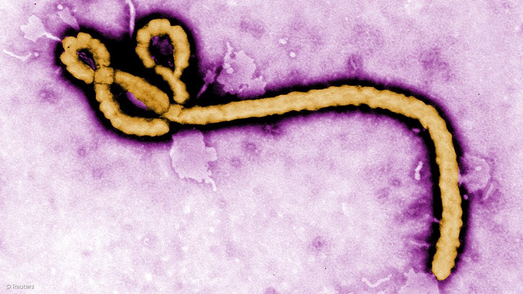 Ebola's persistence in survivors fuels concerns over future risks