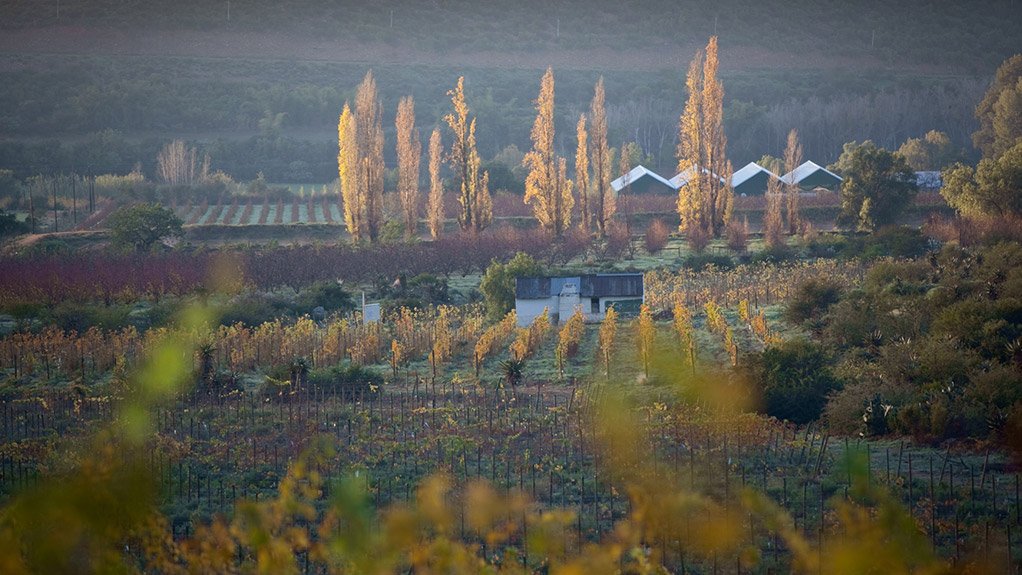 FAMILY AFFAIR
Karusa is a family-operated and -managed wine and fruit farm, which has the benefit of there being much greater concern and effort regarding efficiency and productivity