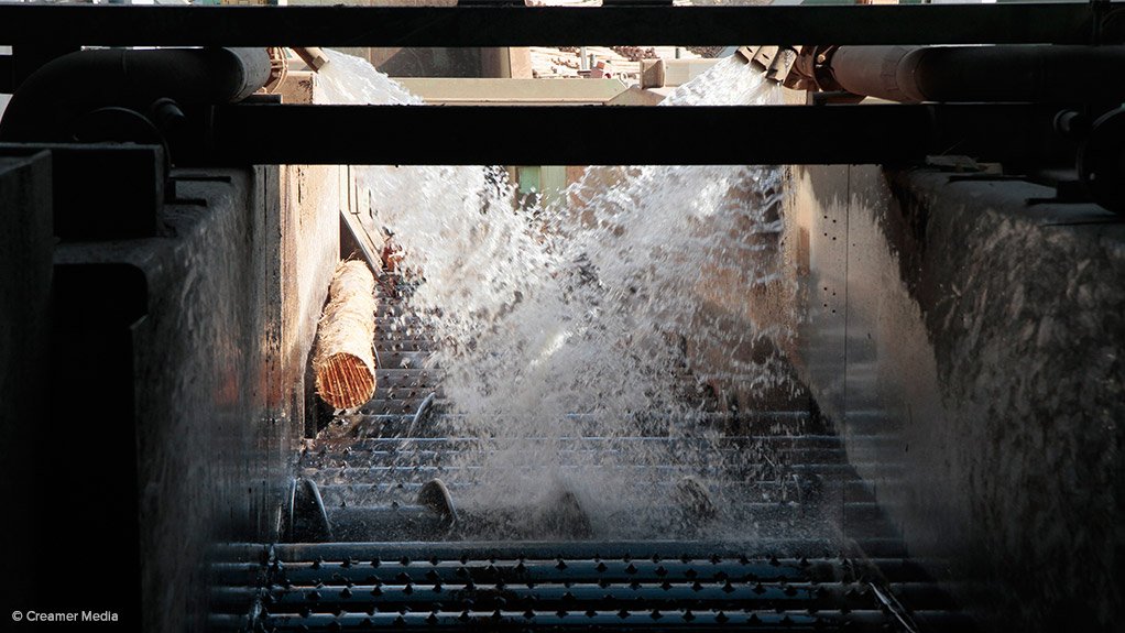 Sappi FY earnings rise, despite tough US, European markets