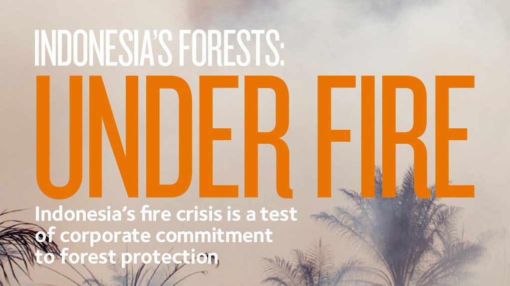 Under Fire – Indonesia’s Fire Crisis Is A Test Of Corporate Commitment ...