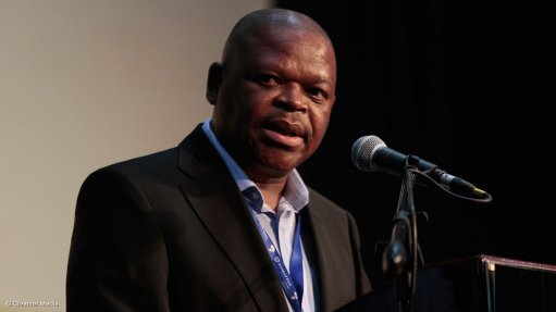S African mining industry future looks scary – Baleni
