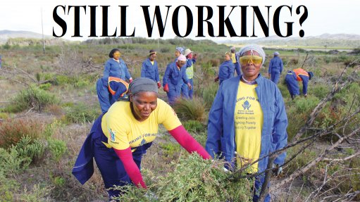 20 years on, Working for Water still making jobs, ecological impression