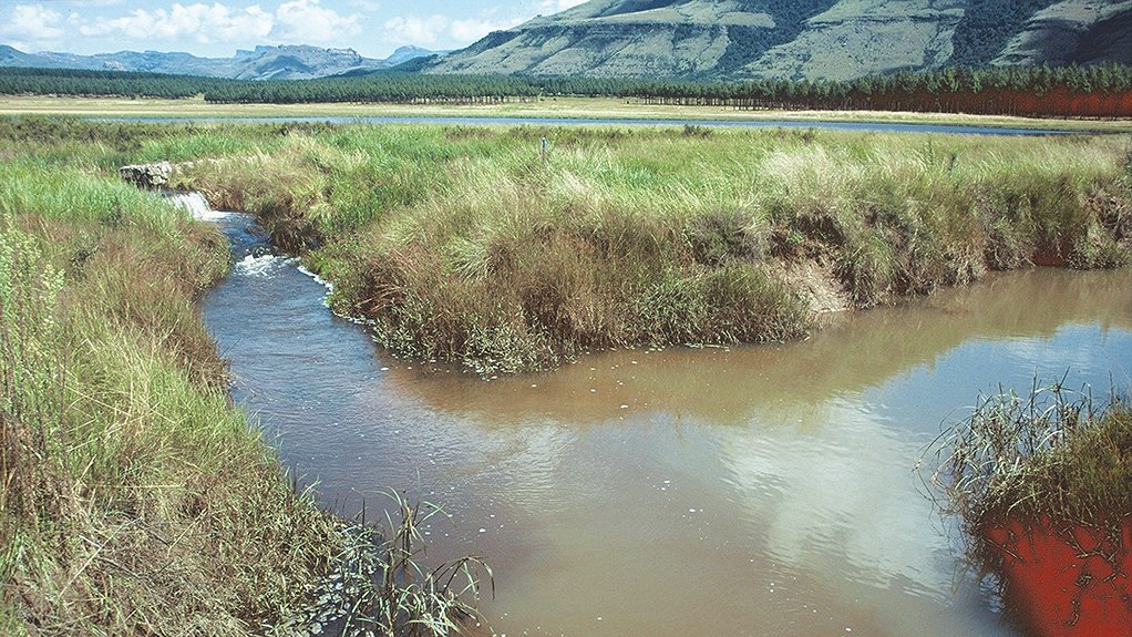 AS NATURE INTENDED South Africa’s natural ecosystems are natural managers of water