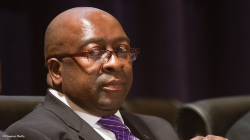 Nene's shock removal pure political play – economists