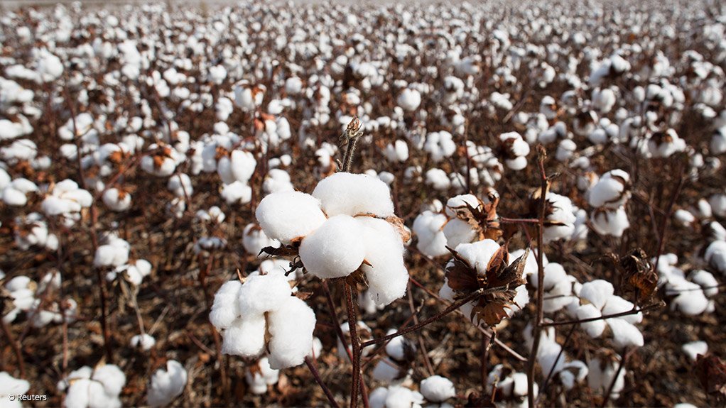 Mali suspends most cotton ginning after January rain