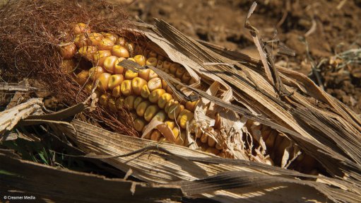 AfriForum launches campaign to support farmers in drought-hit provinces