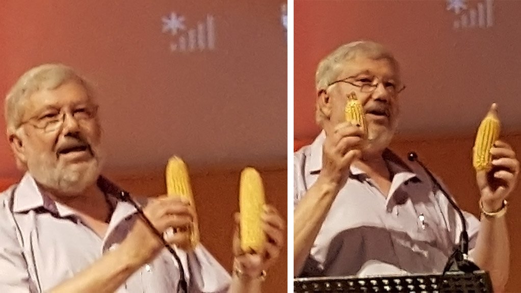 BEFORE | AFTER
Agri Western Cape CEO Carl Opperman shows the impact of load-shedding on maize yields. 