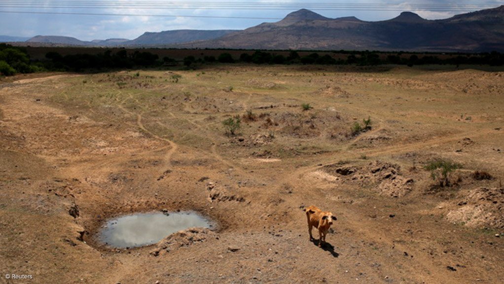 DA lambastes government 'lack of understanding' on drought crisis 