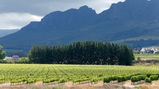 Drought to impact WC agriculture production by 10% – report