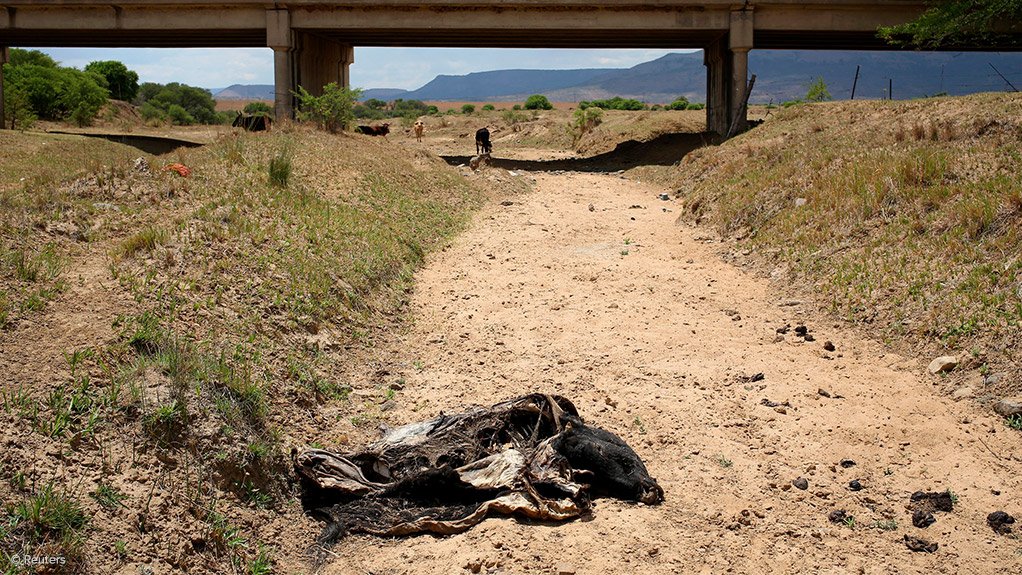 Zimbabwe finally declares the drought a disaster