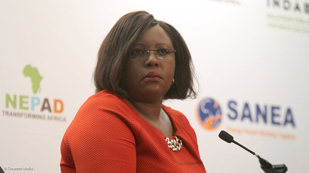 Zambia Energy and Water Development Minister Dora Siliya