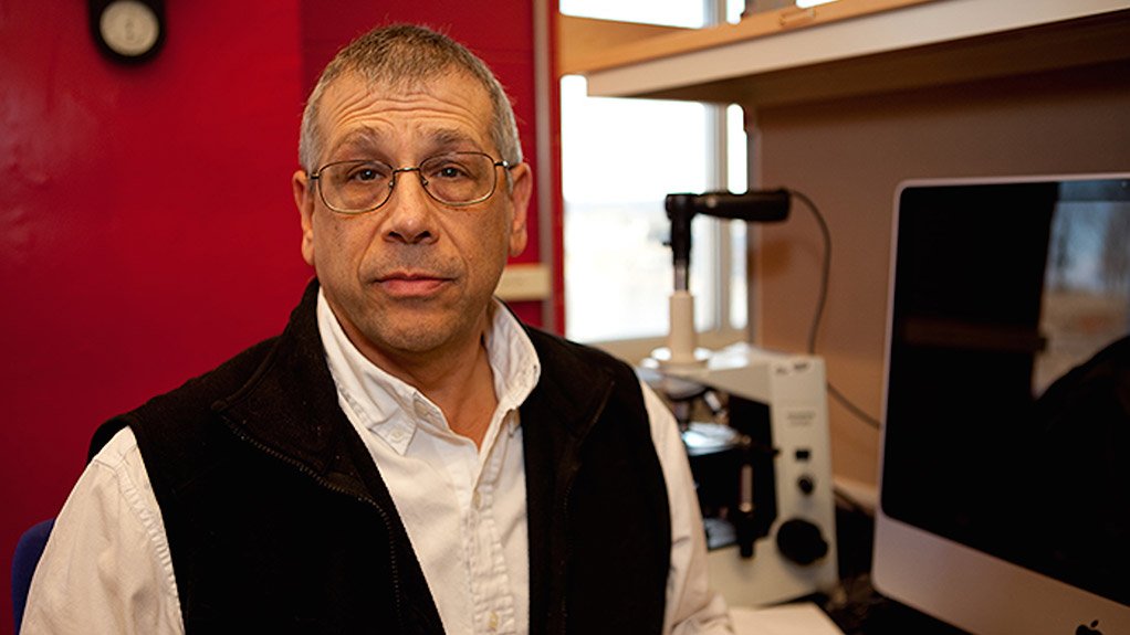 STUART LICHT Nanofibres are used to make strong carbon composites, such as those used in the Boeing Dreamliner, as well as in high-end sports equipment and wind turbine blades 