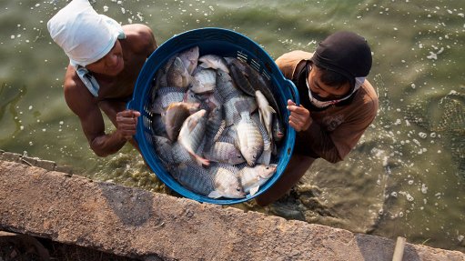 SMALL-SCALE FISHERS
More than 270 communities have registered Expressions of Interest with DAFF