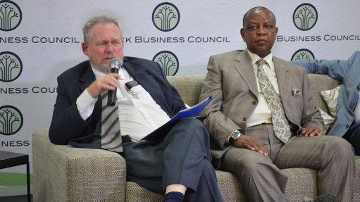 dti: Minister Davies says government is seeking to industrialise the SA economy through black industrialist programme