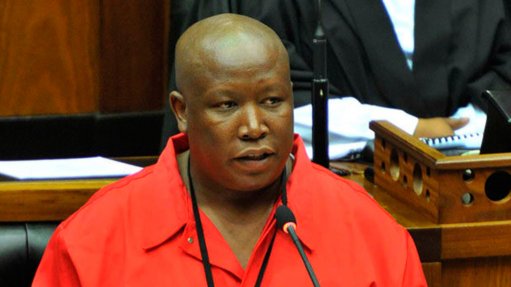Vote against the tide, Malema urges ANC MPs