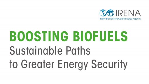Boosting Biofuels: Sustainable Paths to Greater Energy Security (April 2016)