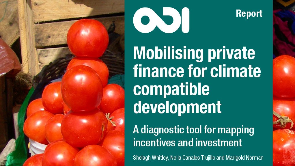 Mobilising private finance for climate compatible development: a diagnostic tool for mapping incentives and investment (April 2016)